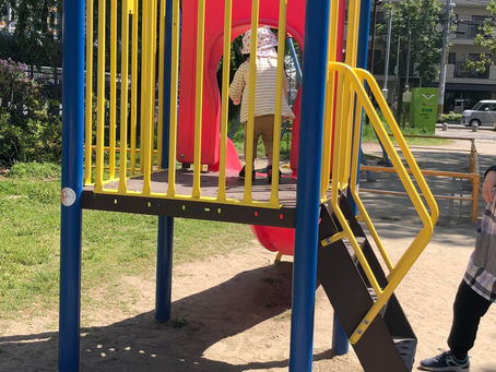 お散歩と室内遊び