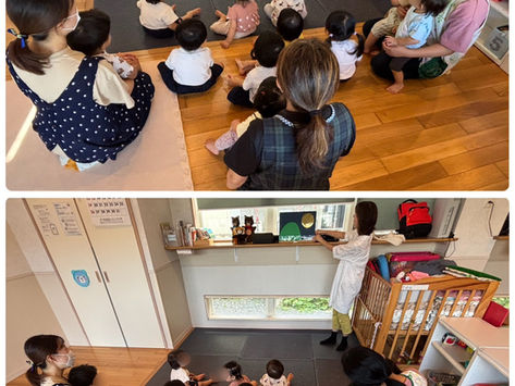 みんな大好き音楽遊び🎶