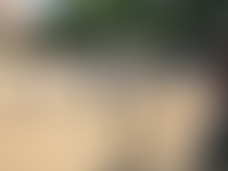 公園に行きました