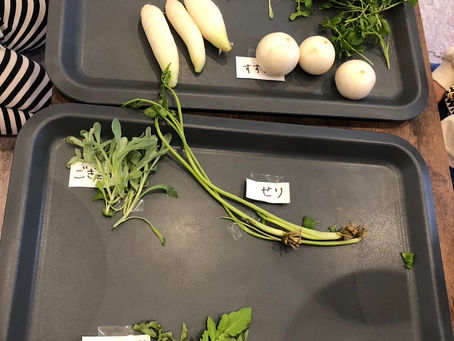 1月7日は七草の日🌿