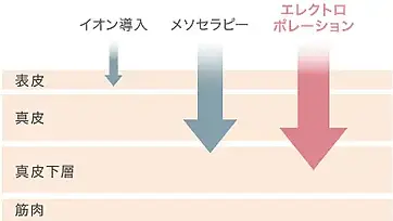 fig02 (1).webp