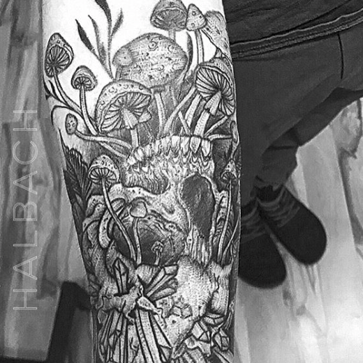 Skull & Shrooms