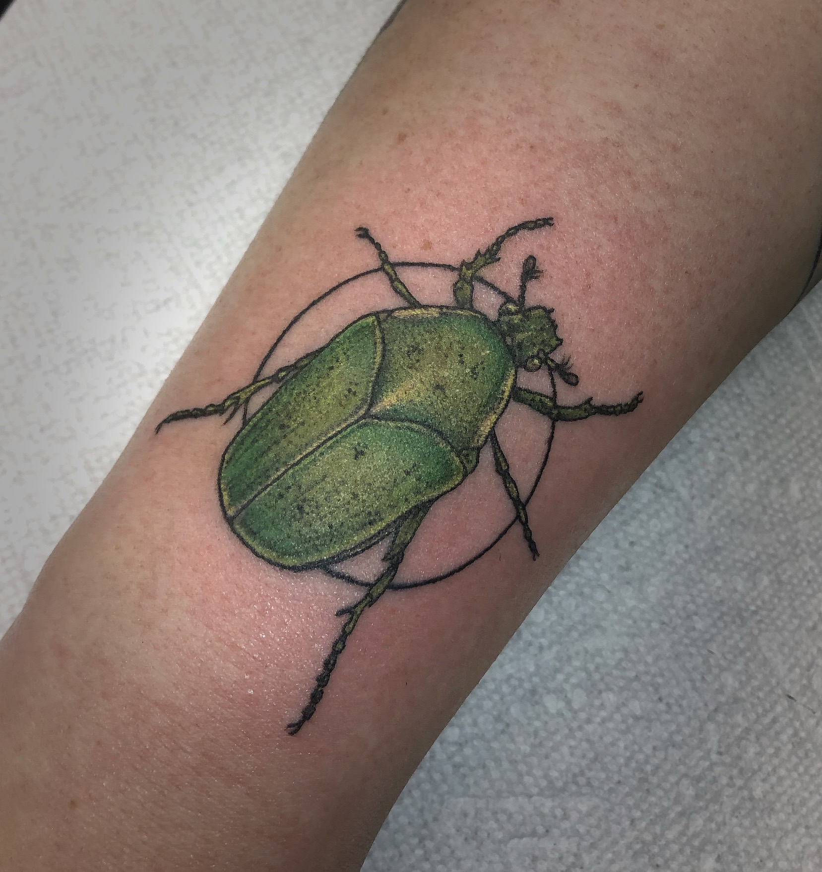 Beetle