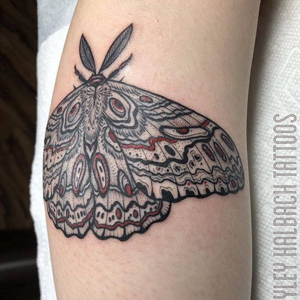 Moth Tattoo by Hayley