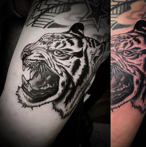 Big Cat