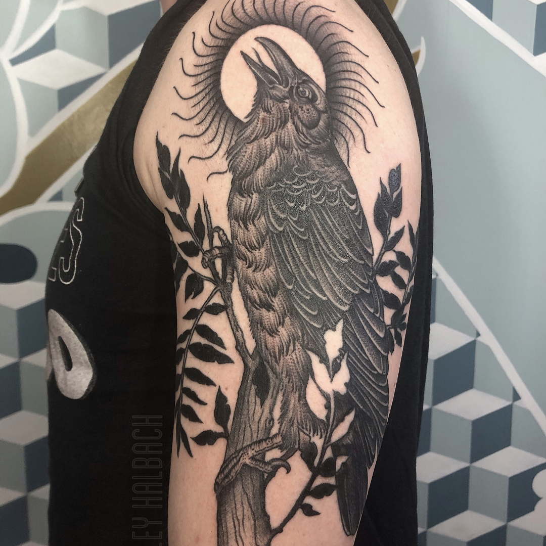 Raven