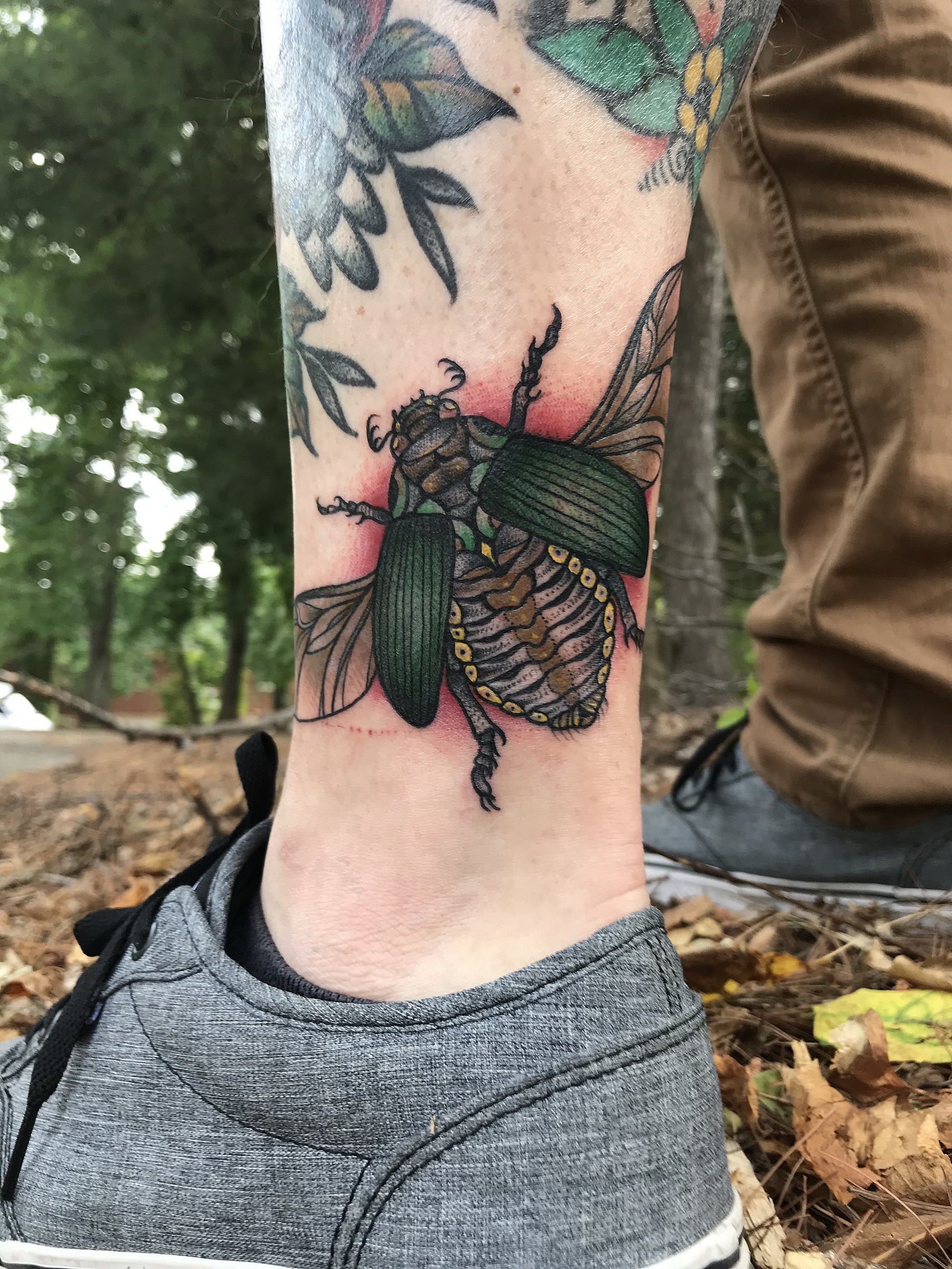 Beetle