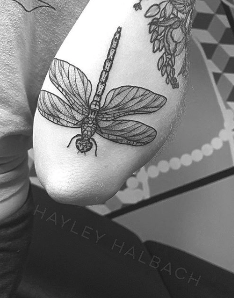Dragonfly