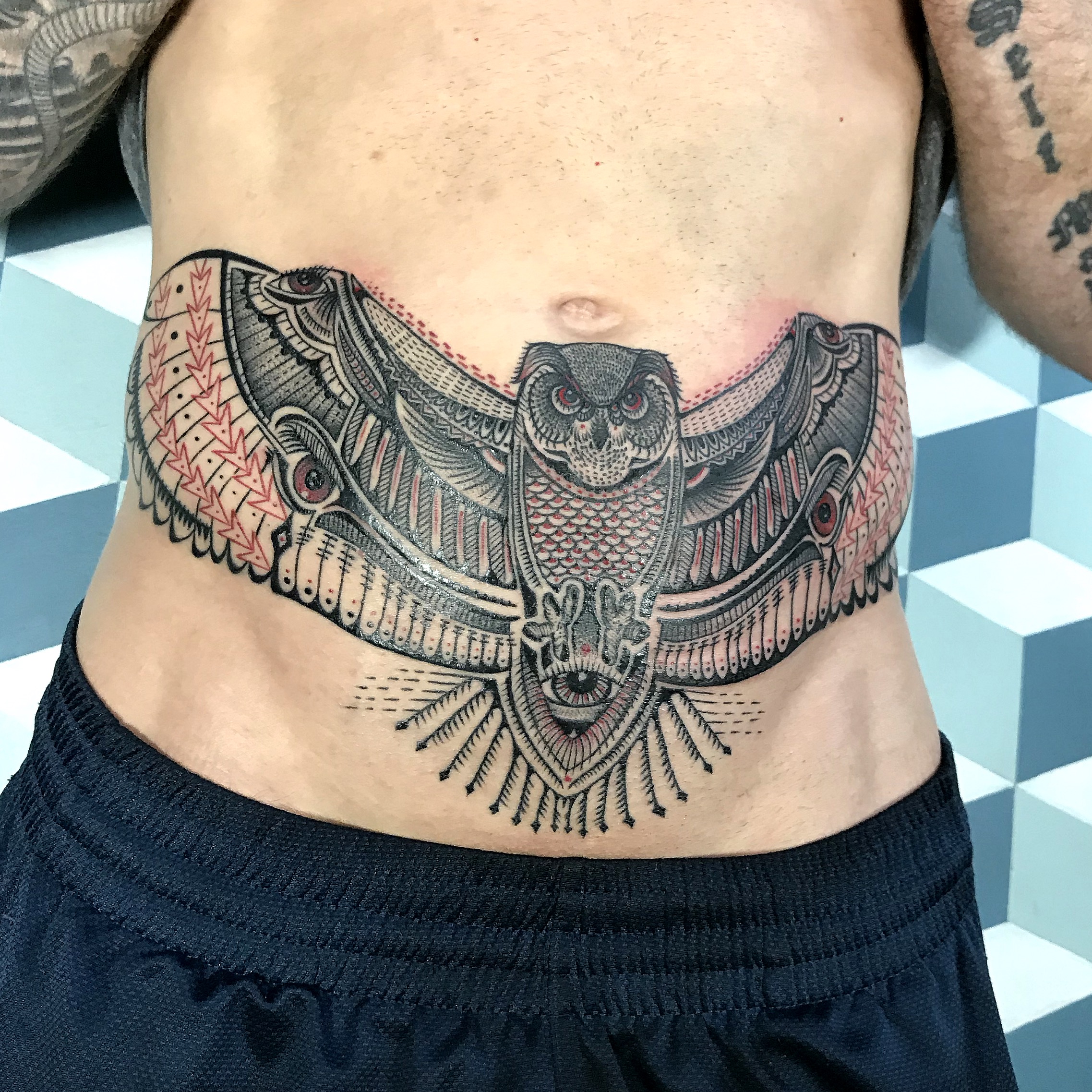 Owl