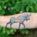 Moose & Mountain Scene