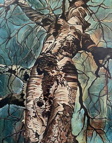 Collection "Arbres"