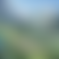 Thumbnail for Skyward Flight Media article "Soaring Free: Freeware Gliders for MSFS 2020".