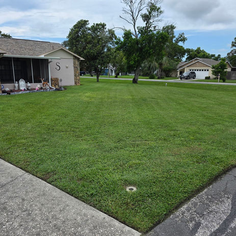 lawn service spring hill