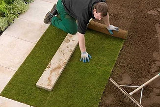 Man-laying-Rolawn-turf.jpg