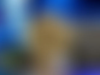 Bitcoin: sceso sotto i 50.000dollari