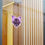 Thumbnail: Fuchsia Geometric Cat Skull Vinyl Sticker