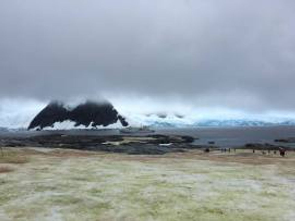 17635242_606879436185036_2447487661076000376_o