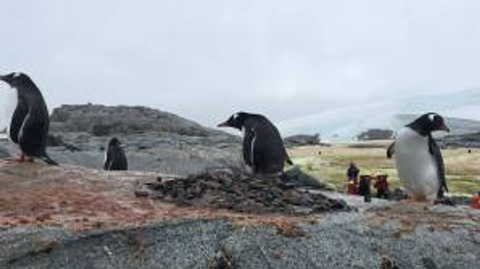 17632031_606879802851666_8936400658933326338_o