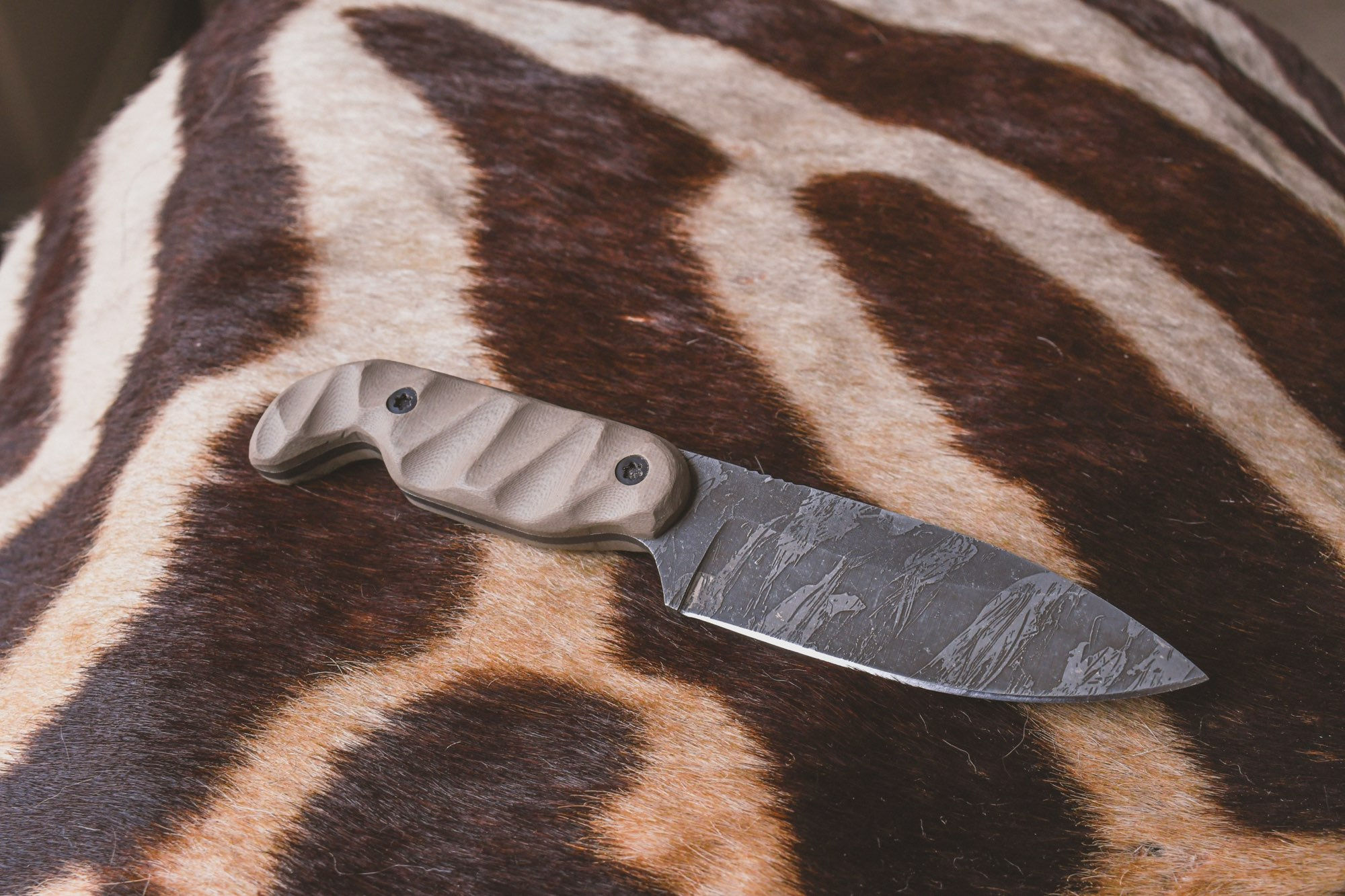 EXTRACT - TIGERSTRIPE COLLECTION