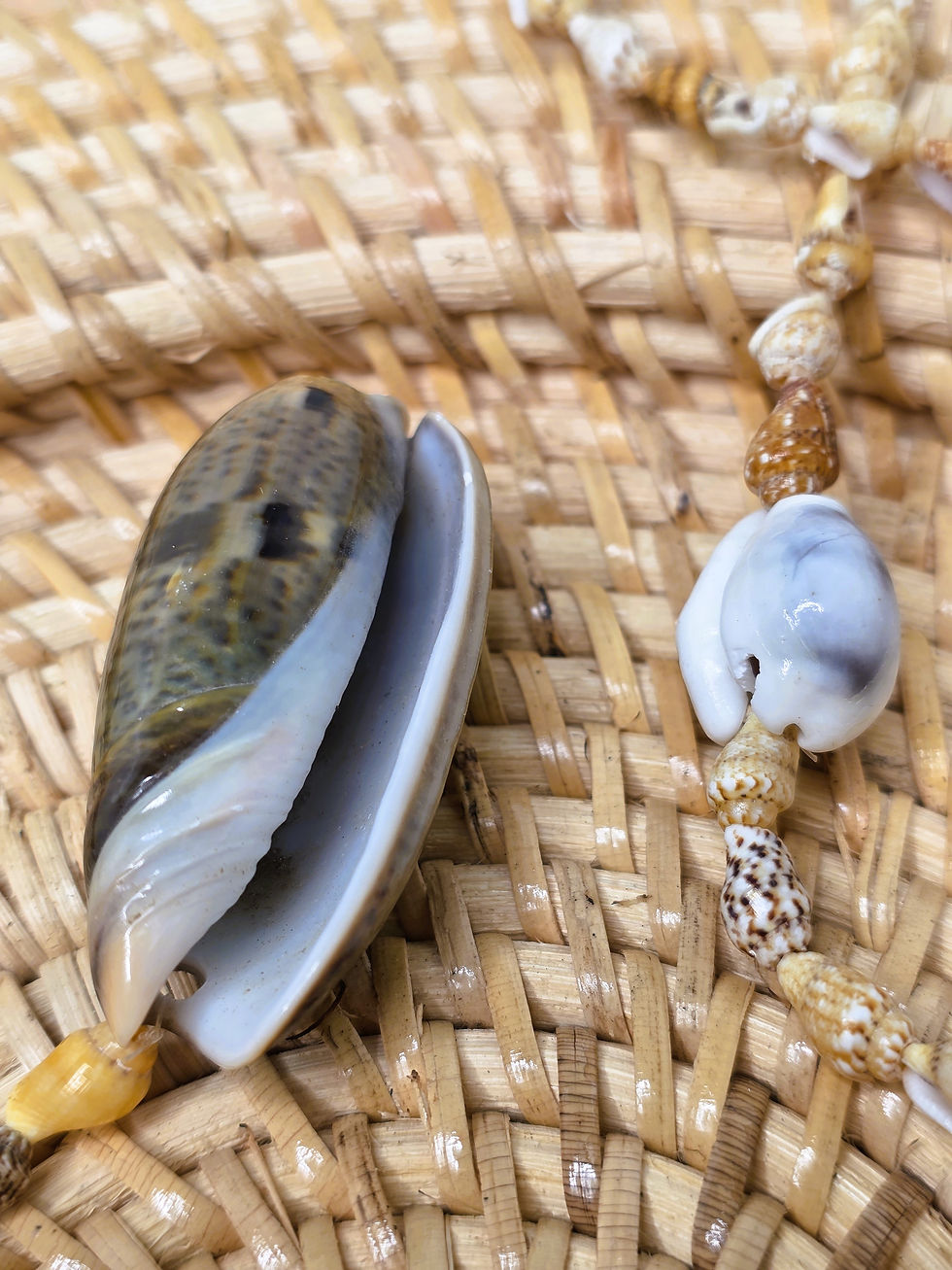 Miniature : Collier coquillages beiges