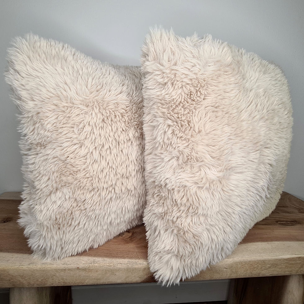 Miniature : Coussin doudou «&nbsp;ours&nbsp;» beige 45 x 45 cm — polyester moelleux
