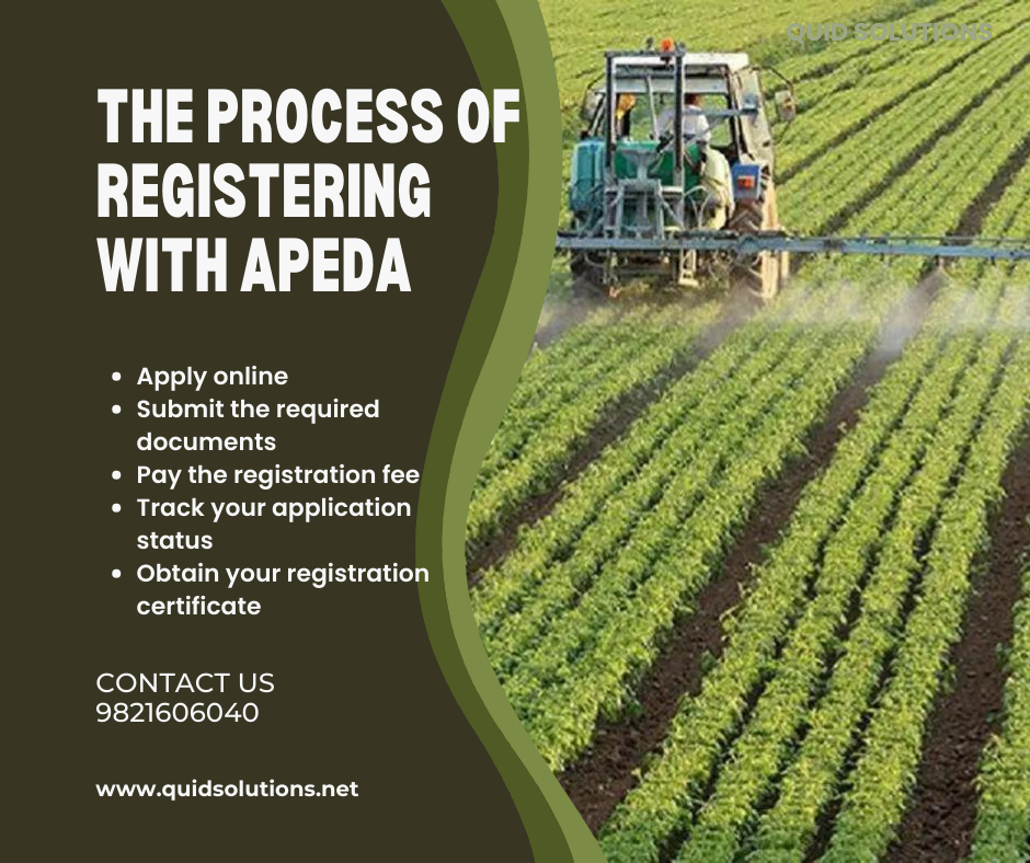 Process of Registering with APEDA: Step-by-Step Guide | Quid Solutions ...