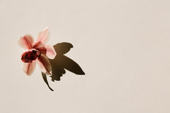 haute-stock-styled-stock-photo-subscription-rosa-by-moyo-collection-final-12.jpg
