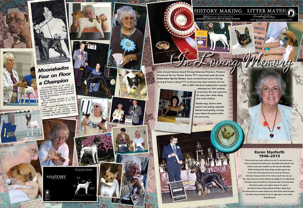 Karen Stanforth Memorial FINAL DN WEB