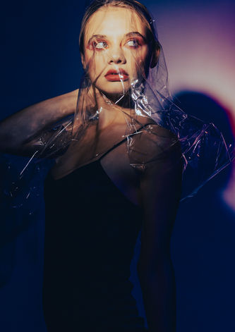 Plastic Fashion by Michelle de Vos