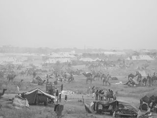 Pushkar