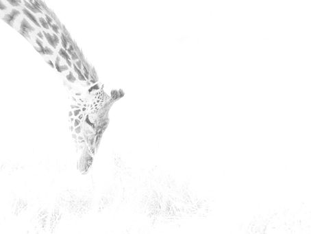     A different lens on Mara (3) - Time