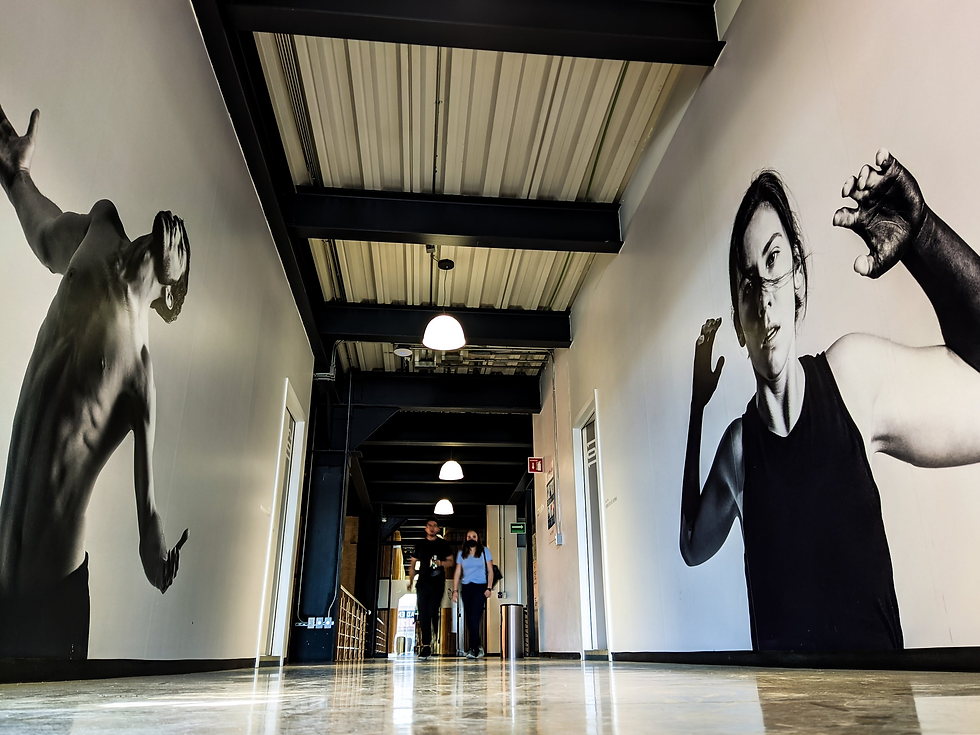 De Salem a la Actualidad: Las Brujas de Salem en el Teatro de Casa Azul