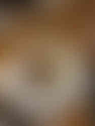 sabor a la brasa, la mansión