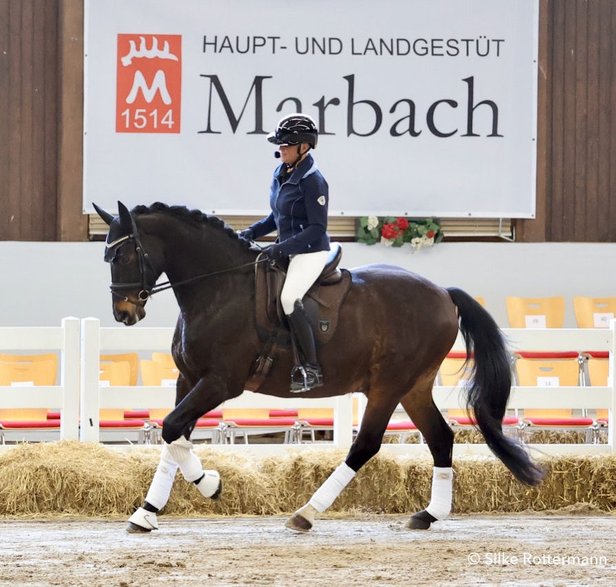 Neuer Artikel bei Eurodressage