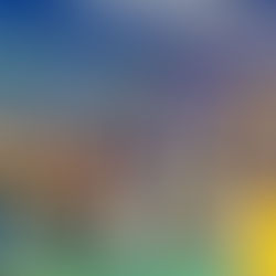 Three-Day Inter-College District Sports Competition Begins in North Kolkata