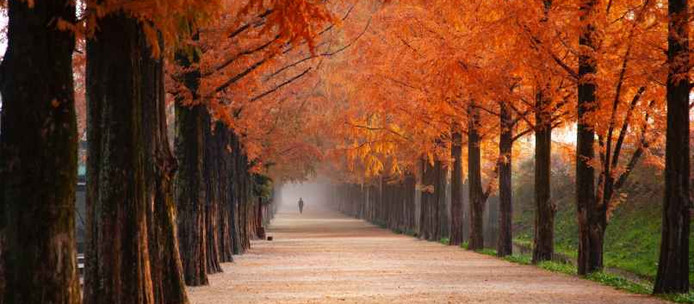 Happy Fall! What are your fall goals?