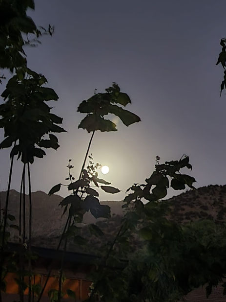 WhatsApp Image 2023-06-29 at 22.34.27.jpeg