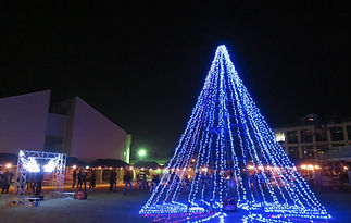 S__135585797.jpg