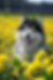 Unknown-6_edited.png
