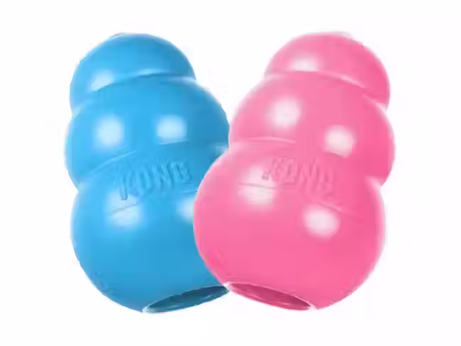 Hundeleke KONG Puppy M