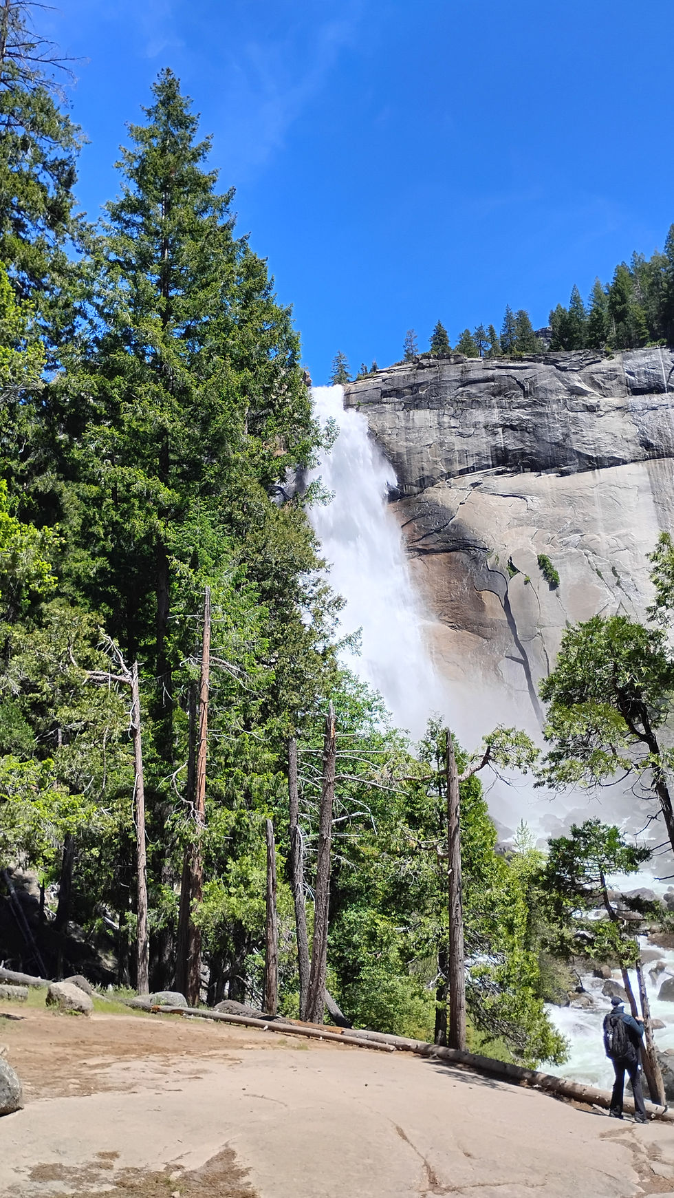 IMG_20260607_144233997_HDR.jpg