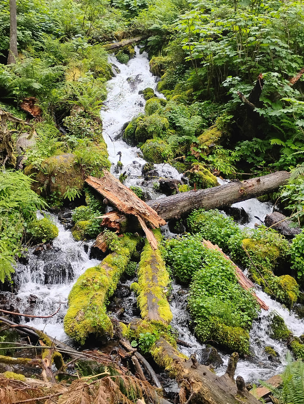 Columbia River Gorge