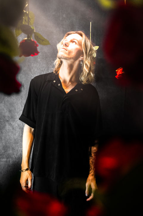 roses 1.jpg