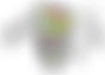 5 Dicas para Criar Anúncios Online que Convertem