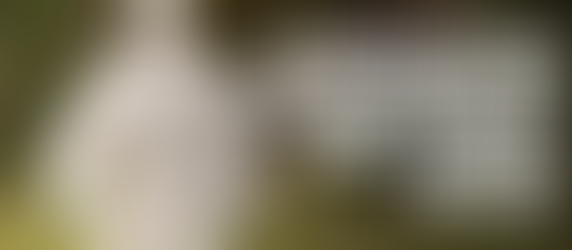 As Pragas que Mais Causam Doenças no Brasil e Como Se Proteger