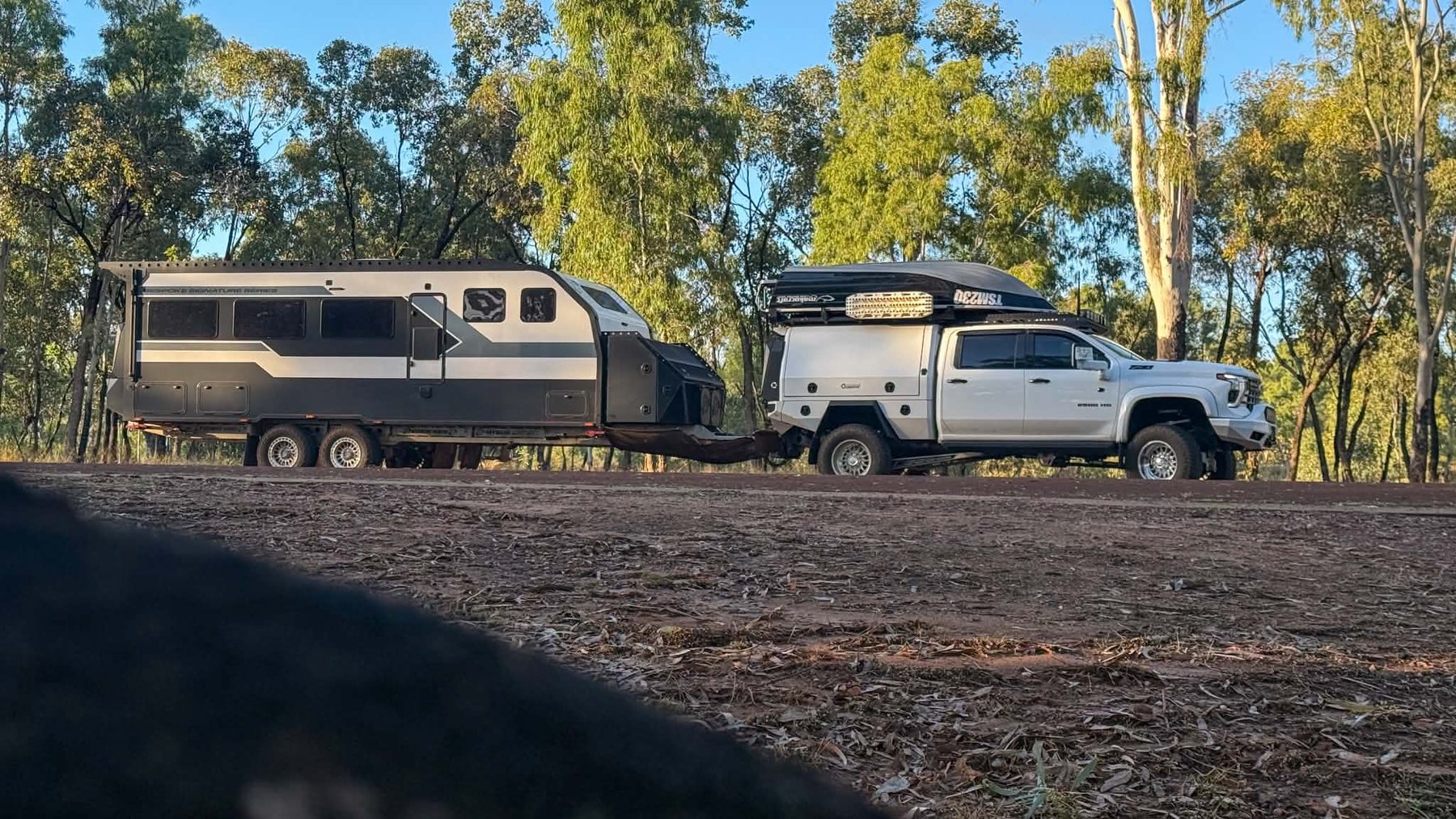 Hitched up under the gums
