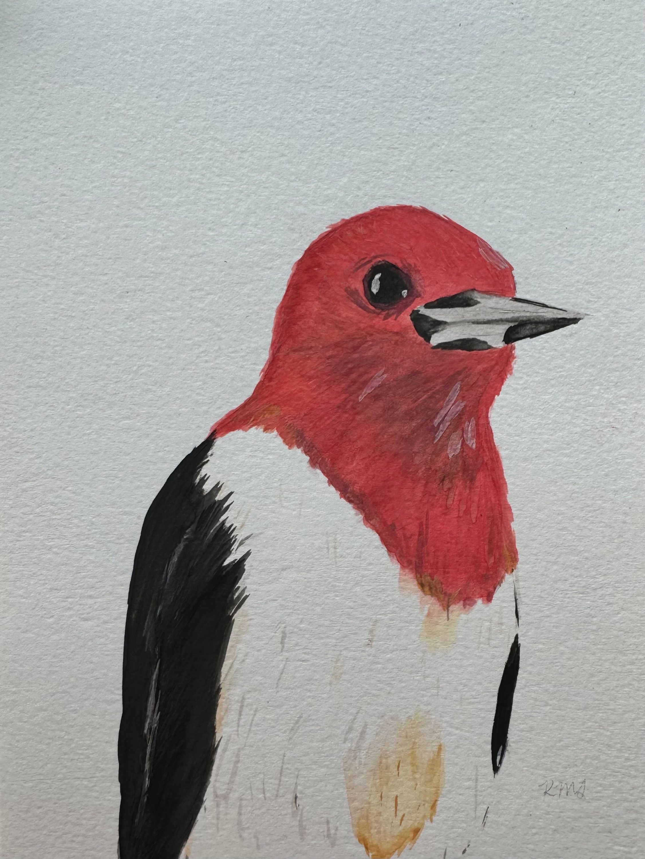 Woodpecker Original Watercolor