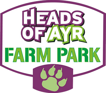 HdsAyr Logo Proc (2).png