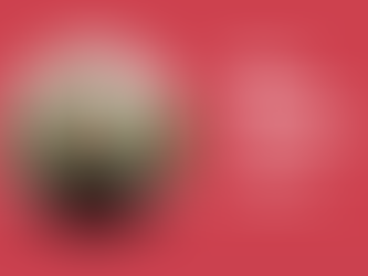 Circle interviews with the Alumni: Meet Laura Hypponen - CIRCLE Fiction Orbit Accelerator 2023 participant.