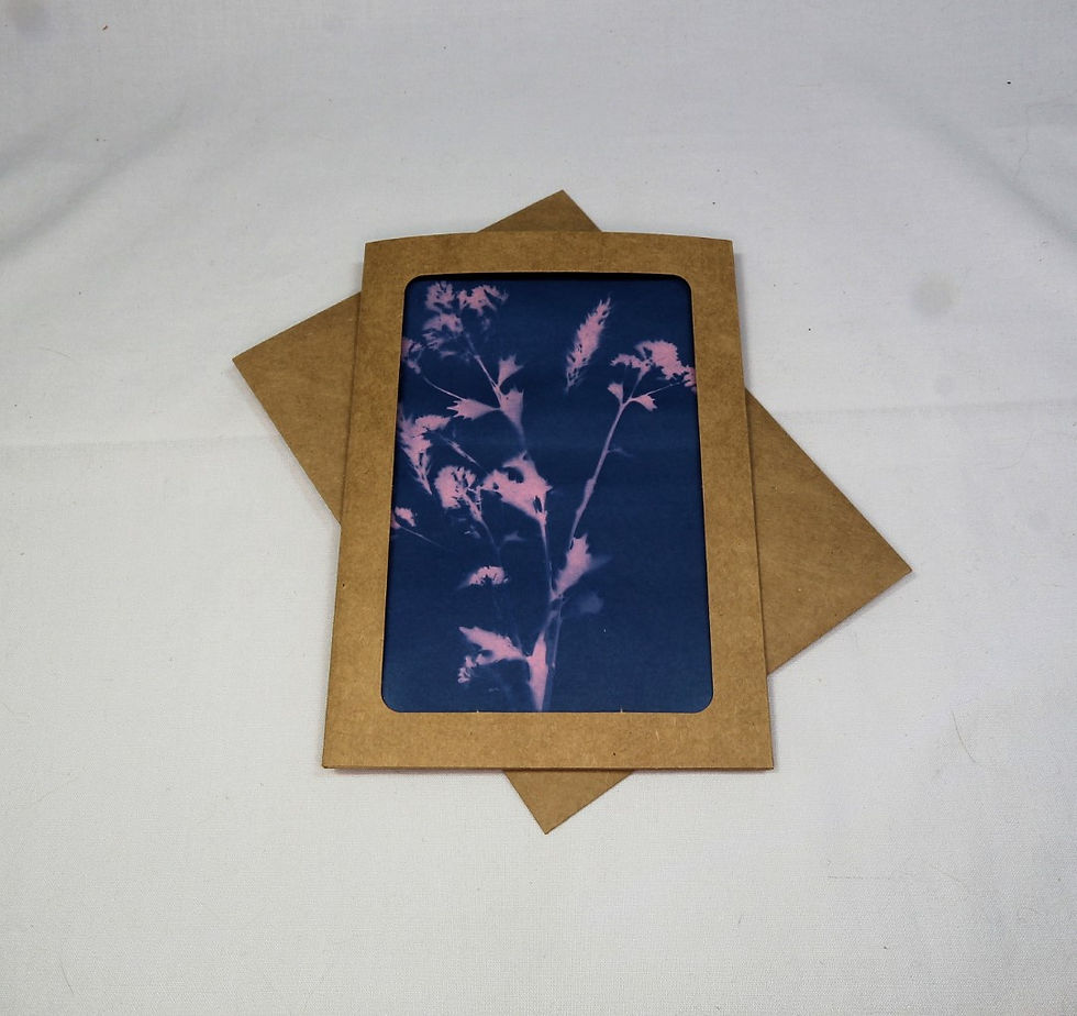 Thumbnail: Sun Print Card